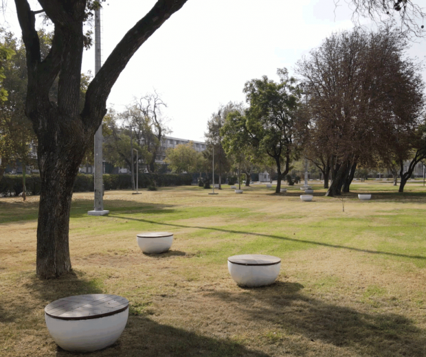 Pastos de ciencias