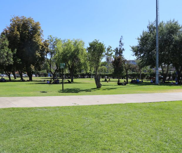 Pastos Ciencias